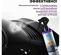 LMF87 Покрытие кварцевое для защиты кузова SHINE ARMOR 250мл*/