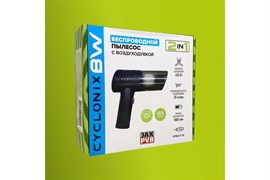Автомобильный пылесос Cyclonix BW*/