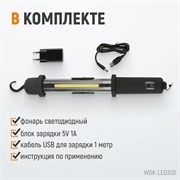 WDK-LED300 Светильник